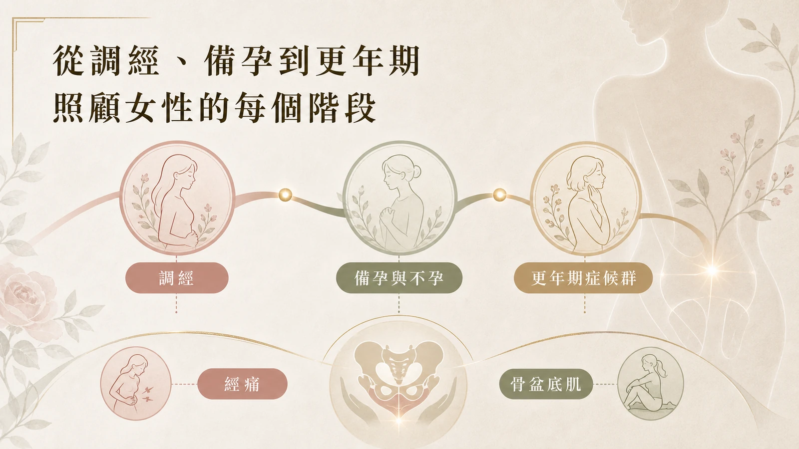 中醫婦科示意圖